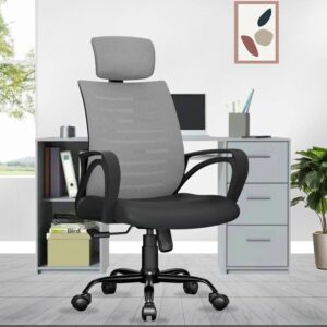 beAAtho Verona Executive Mesh Office Chair for Home & Office