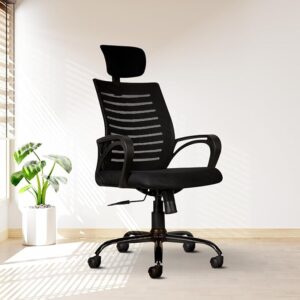 Another Best Ergonomic Chair Under 5000 from CELLBELL